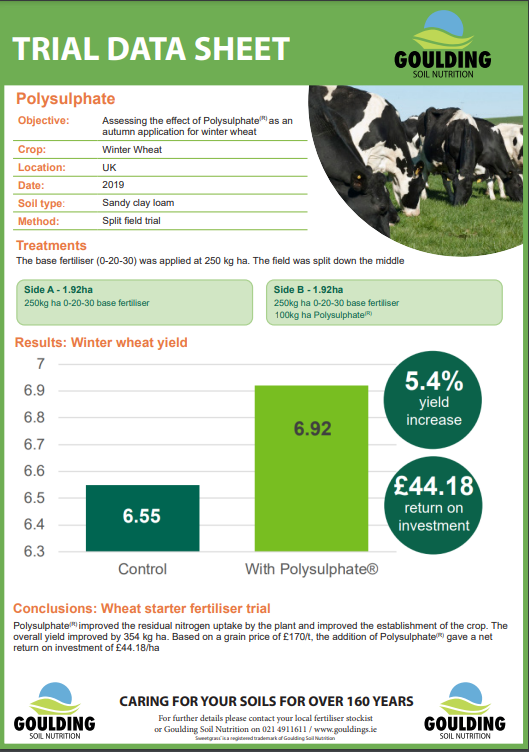 Polysulphate winter wheat trial